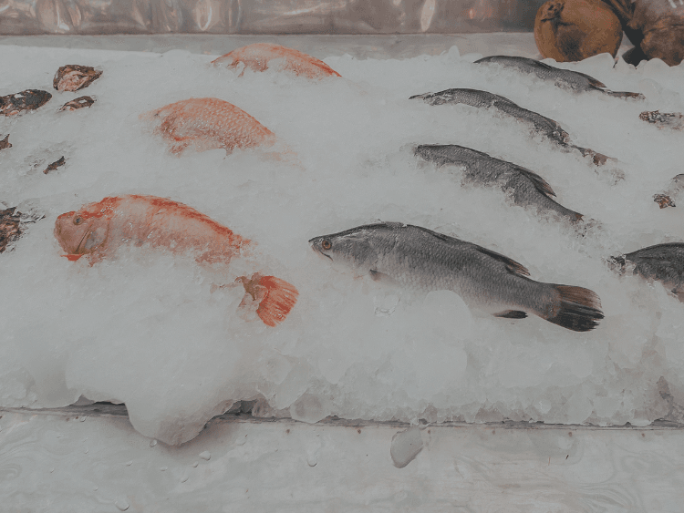 Recomendaciones para evitar problemas con pescado y mariscos durante Semana Santa