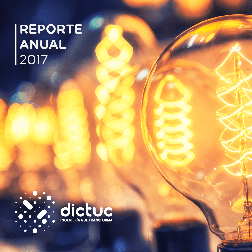 Reporte Anual 2017