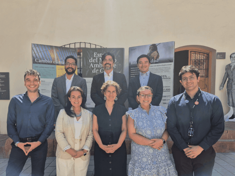 Reporte del Estado del Medio Ambiente 2025 (REMA)