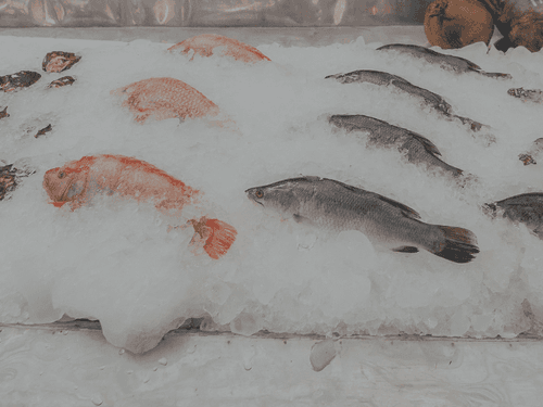 Recomendaciones para evitar problemas con pescado y mariscos durante Semana Santa