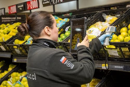 Inspección de calidad de frutas y verduras locales Lider