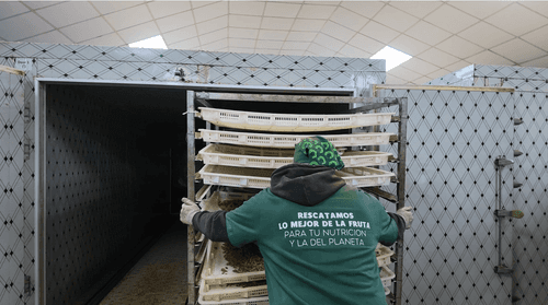 Día Mundial de la Alimentación: inteligencia artificial para dar una segunda vida a los alimentos que se pierde