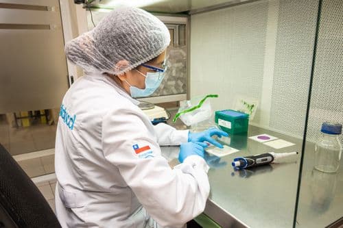 Laboratorios