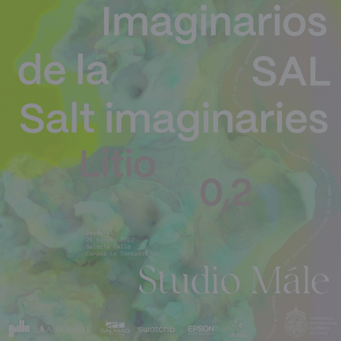 Inauguración Imaginarios de la Sal en Galería Gallo