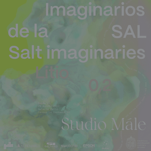 Inauguración Imaginarios de la Sal en Galería Gallo