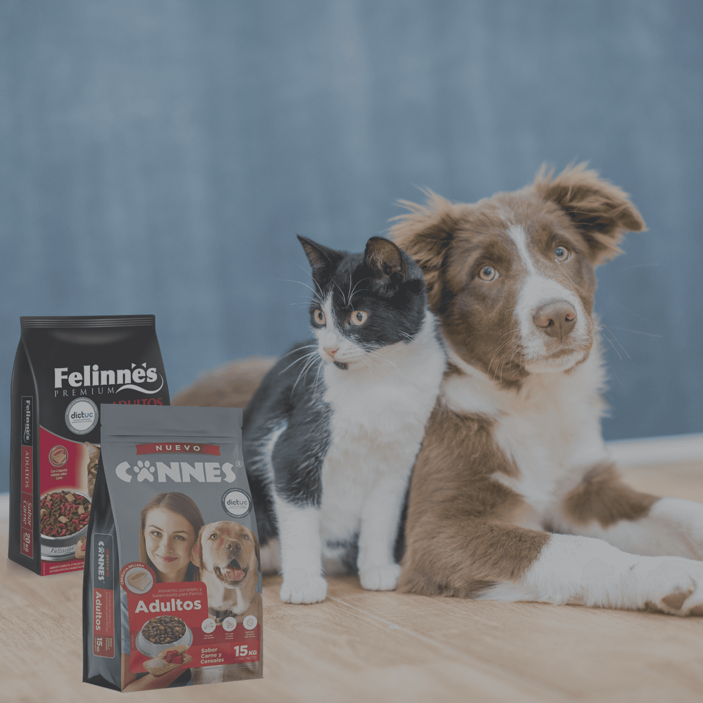 Usos de marca vigente: Cannes y Felinnes