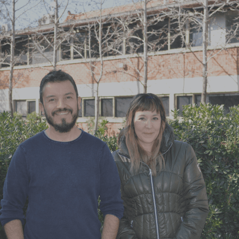 Revista Structures publica paper elaborado por ingenieros de Dictuc