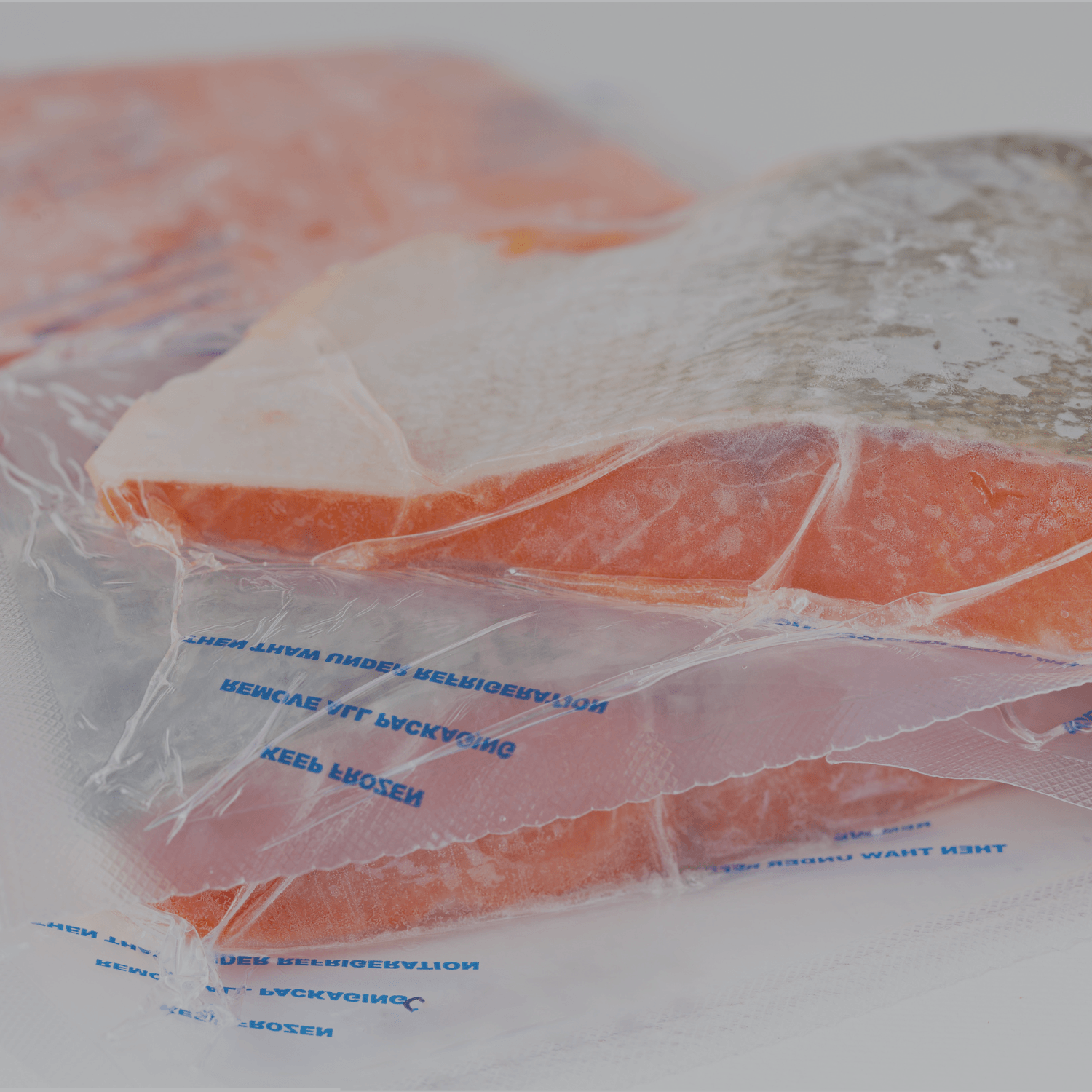 Dictuc en la TV: Decomisan 1400 kilos de salmón vencido