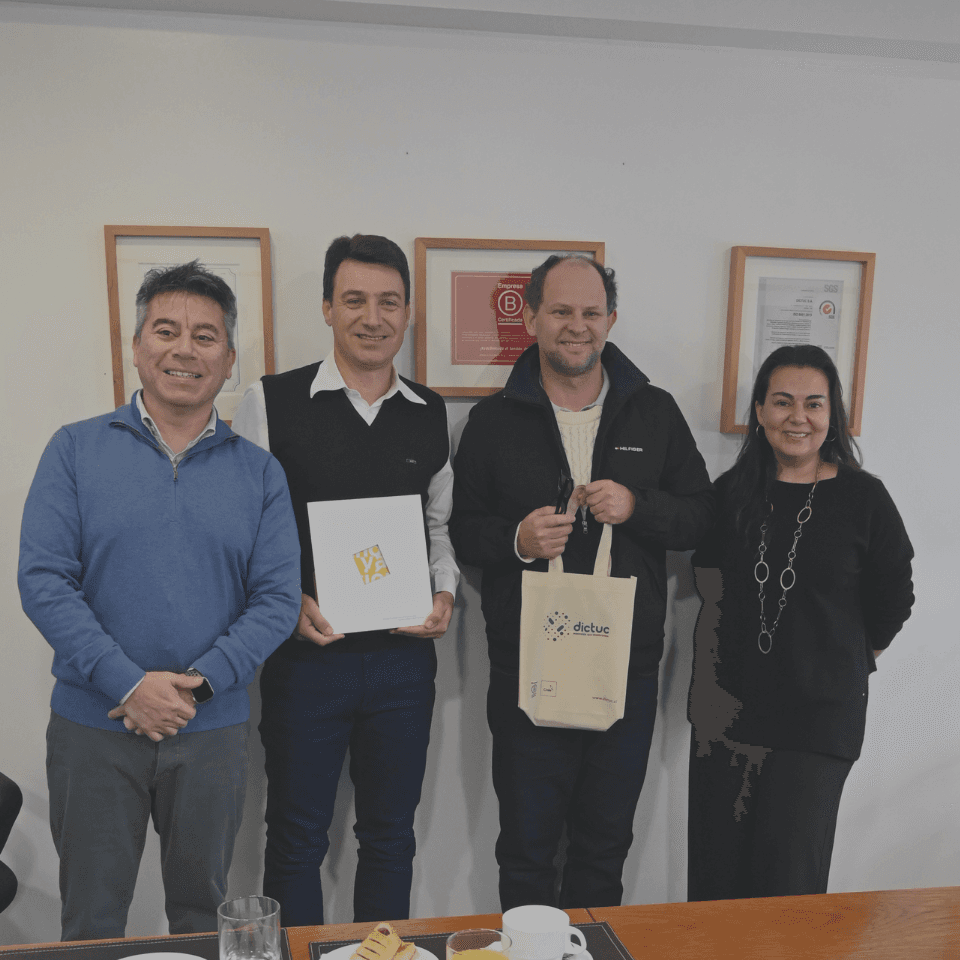 Representantes del Instituto Federal do Espírito Santo visitan Dictuc