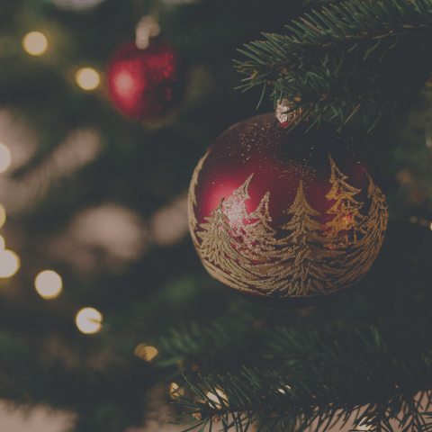 ¡Feliz navidad!