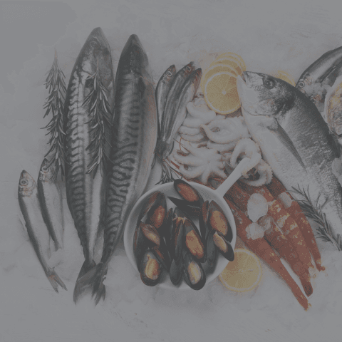 Recomendaciones para evitar problemas con pescados y mariscos durante Semana Santa