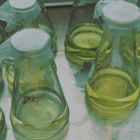 Programa de buenas prácticas ambientales en los laboratorios: Gestión de Productos Químicos