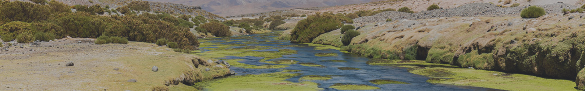 Proyecto destacado: Caracterización hidrogeológica de la cuenca fronteriza del Río SILALA