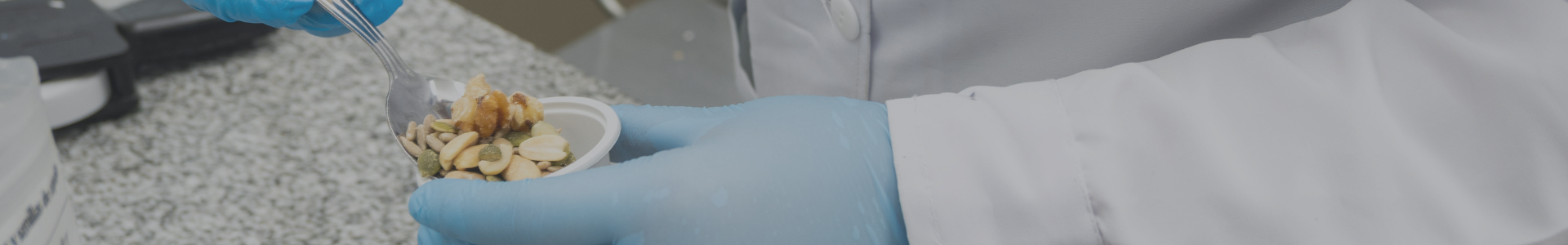 Universidad Católica, CENIA y Dictuc lideran programa tecnológico para impulsar la adopción de IA en la industria alimentaria chilena