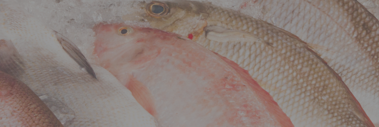 Incautan pescados y mariscos en fiscalización