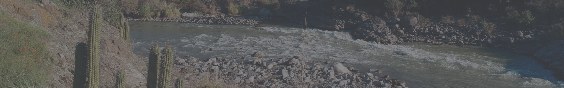 Ingenieros Dictuc exponen en seminario sobre la cuenca del Río Maipo