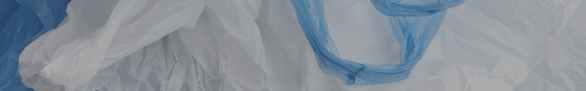 Día Internacional Libre de Bolsas Plásticas: ¿Cómo la IA nos ayudará en este ámbito?