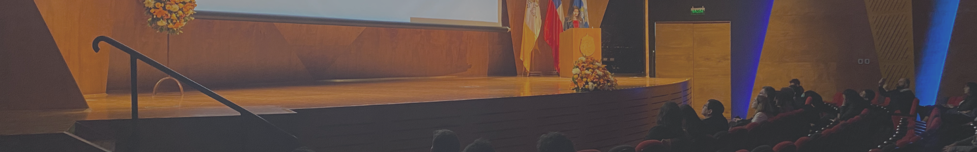 Cuenta Anual Ingeniería UC: Profesor asociado de Dictuc es reconocido
