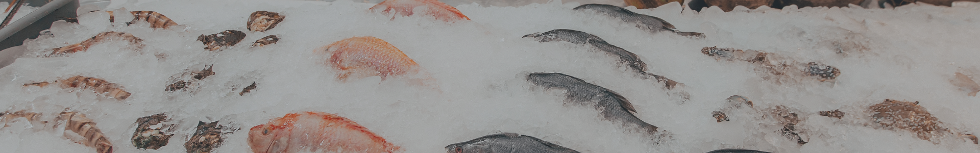 Recomendaciones para evitar problemas con pescado y mariscos durante Semana Santa