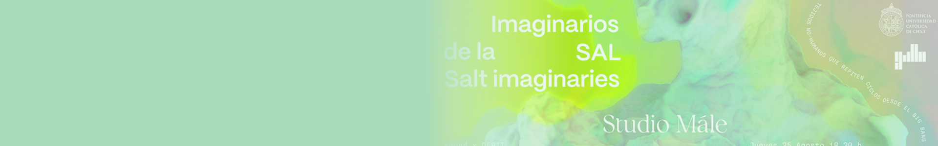 Inauguración Imaginarios de la Sal en Galería Gallo