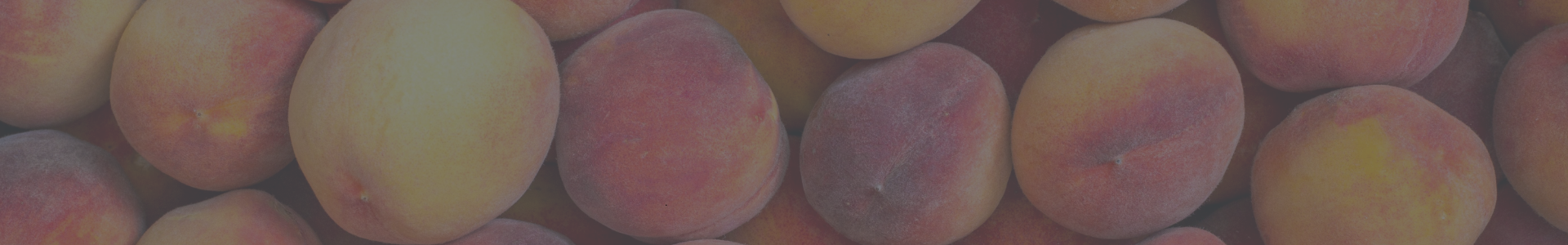 Dictuc y Red de Alimentos: una alianza que visibiliza el impacto ambiental del rescate de alimentos