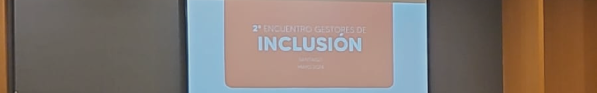 Gestoras de Inclusión de Dictuc participan en evento de Teletón