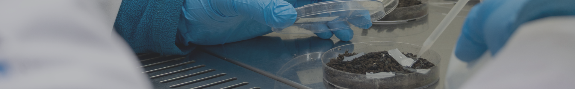 Buenas prácticas ambientales en los laboratorios: Un compromiso con la gestión ambiental 