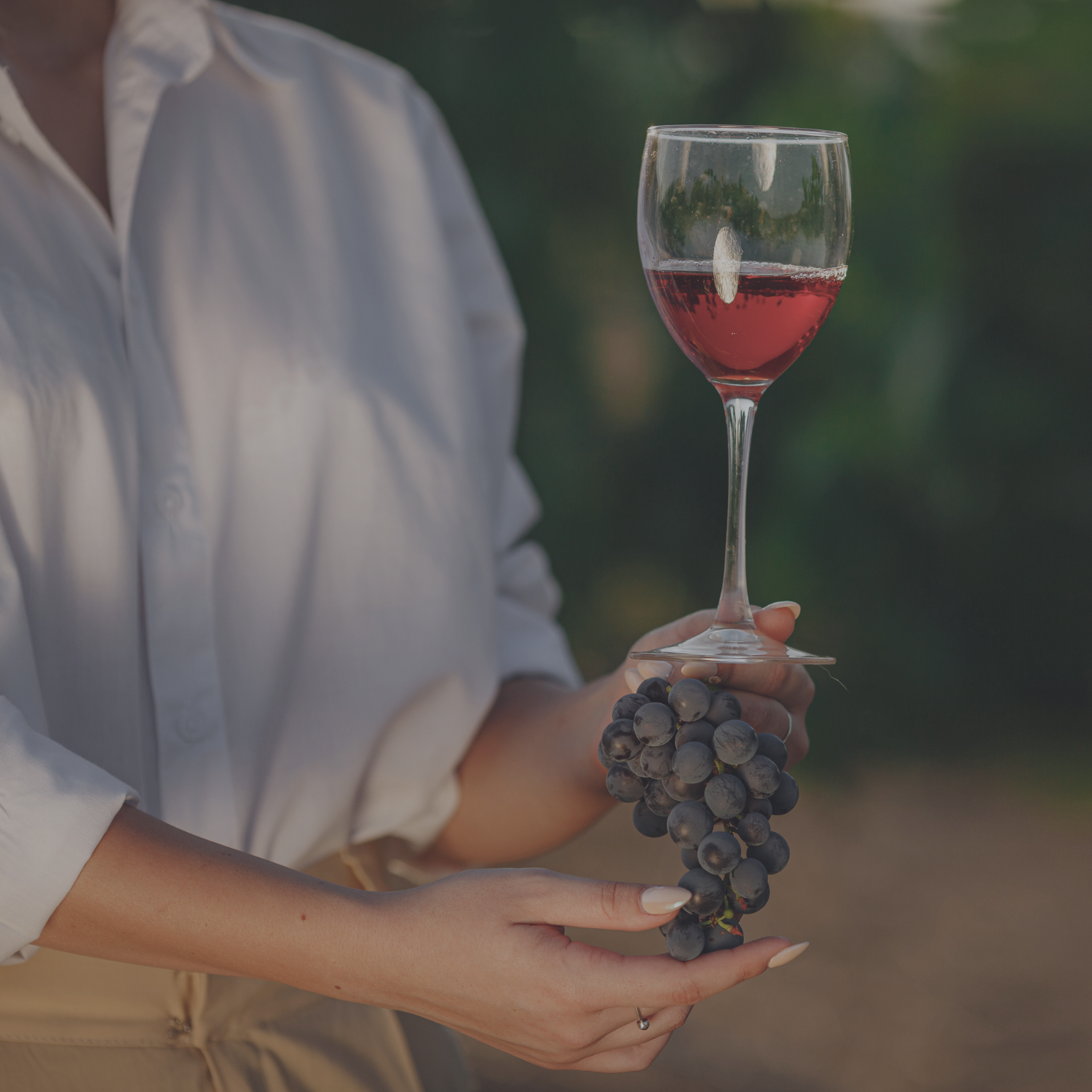 Día del vino chileno: ¿A qué se deben los aromas presentes en los vinos?