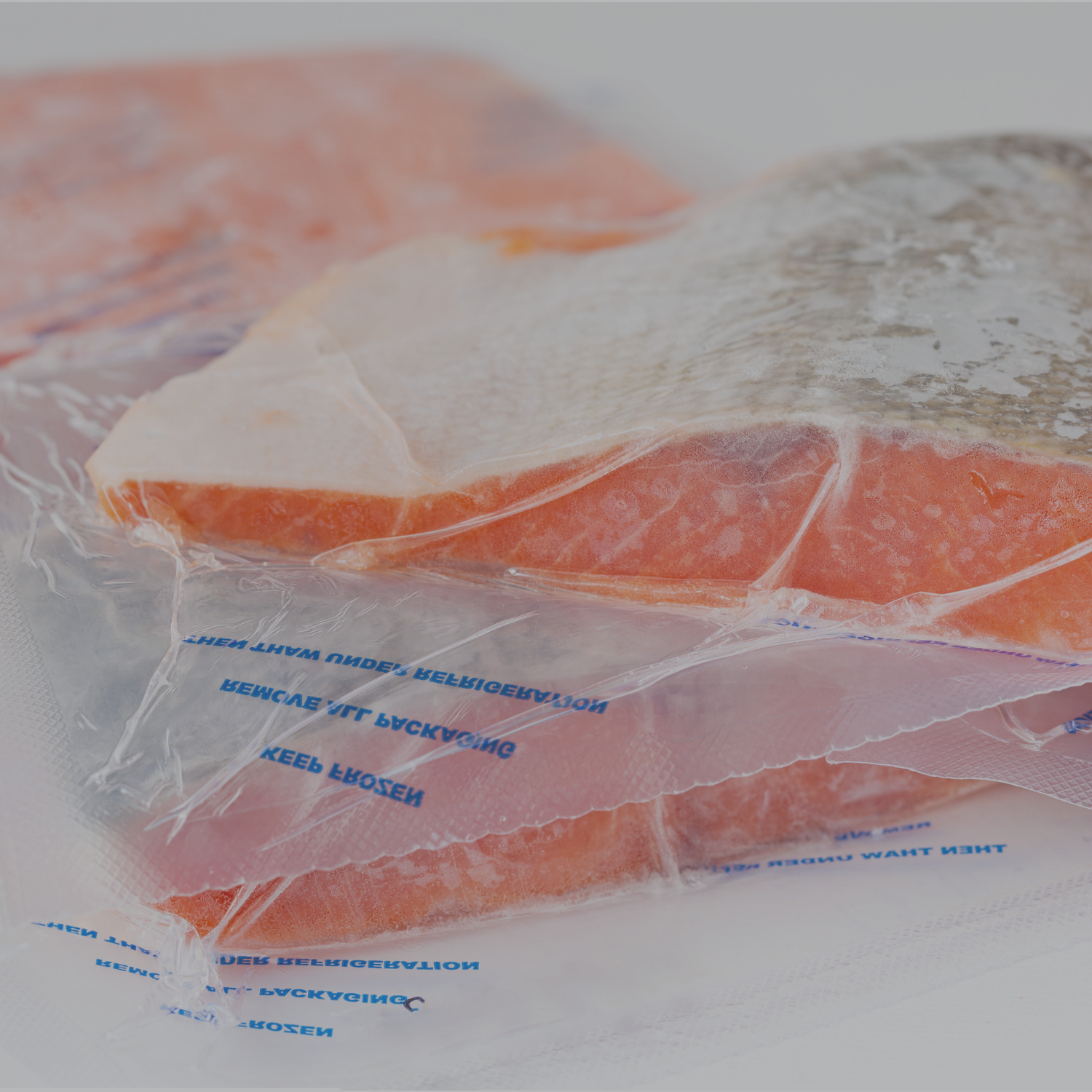 Dictuc en la TV: Decomisan 1400 kilos de salmón vencido