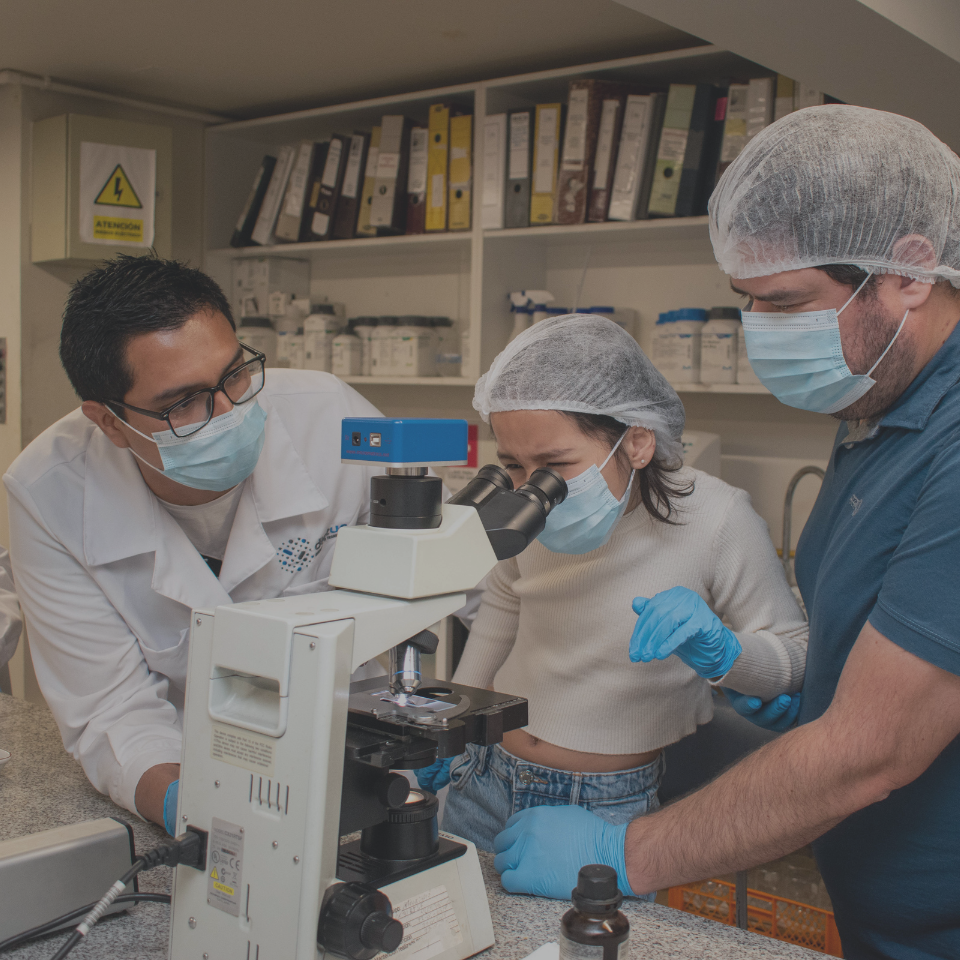 Open Day 2024: ¡Te esperamos!